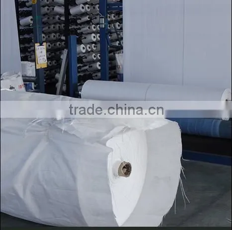 Laminated pp Woven Fabric in Roll/pp Woven Fabric for Jumbo Bag