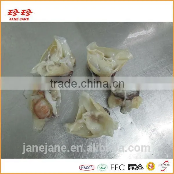 Frozen Squid Neck - Ommastrephes Bartrami photo-2