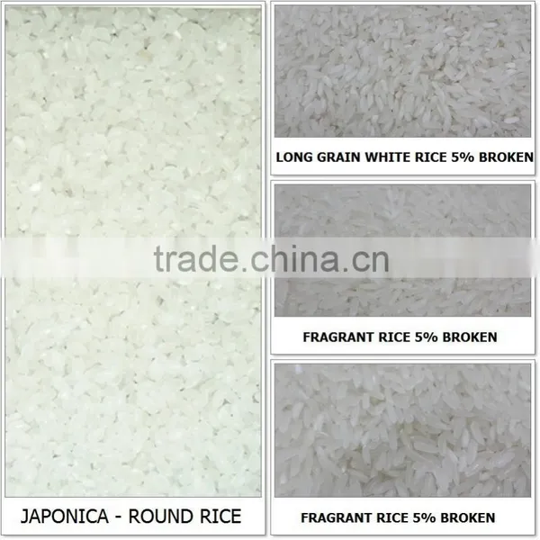 VIETNAM FRAGRANT RICE 5% BROKEN (skype: Davis.thong, Mobile: +84986778999) photo-2