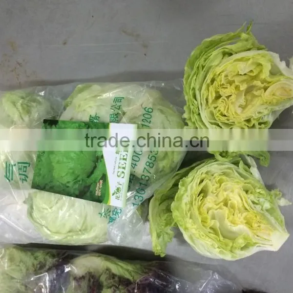 Fresh Lettuce photo-3