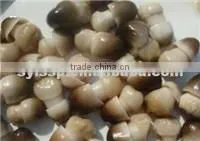 CANNED STRAW MUSHROOM