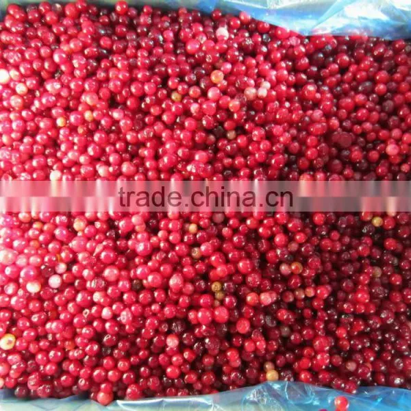 Frozen Lingonberry photo-3