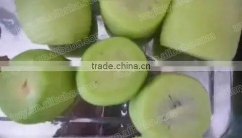 High-Rate Commercial Fruit Peeling Machine, Fruit Peeler photo-5