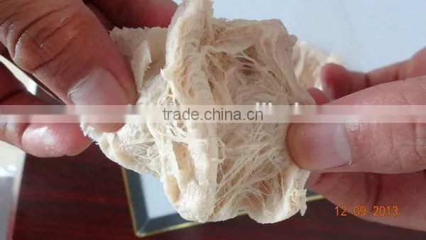 Jinan Manufactory Special Discount High Quality Soya Protein Machine photo-4