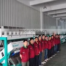 Advanced High Quality Factory Seafood Fish Color Sorter Belt Color Sorting Machine photo-2