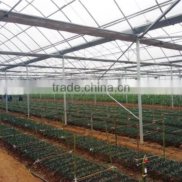 Chinese Large 10 Meters Multi-Span Plastic Film Greenhouse, Vegetables Greenhouse photo-3