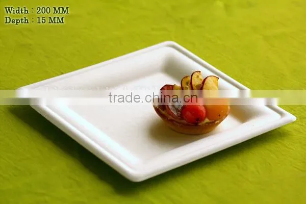 Food Containers and Plates photo-5