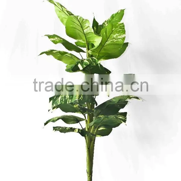 Supply Artificial Scindapsus Bonsai photo-3