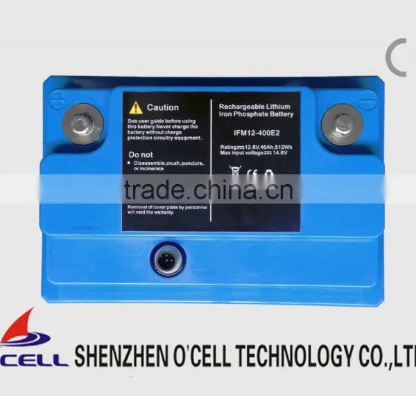 LiFePO4 24V20AH With Fuel Guage for Monitoring Equipment photo-5