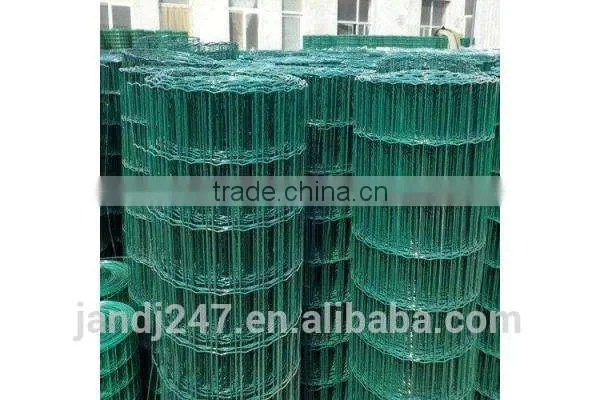 Plastic Coated Welded Wire Mesh From Guangzhou Supplier/ Electrowelding Net photo-5