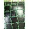 Green HDPE Slope Netting / Mesh Net, Square Mesh Netting and Stretch Planting Net for Environmental