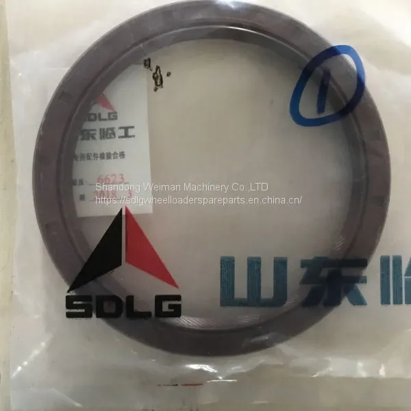 Hot Quality LG936L LG958L Wheel Loader Spare Parts 4110000557022 SEALING RING photo-2