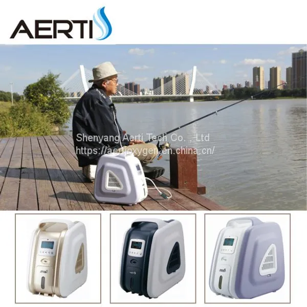 1-3L Portable Oxygen Concentrator for Health Care photo-4