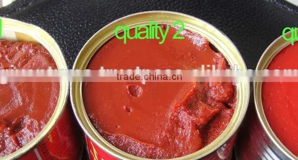 TOMATO PASTE photo-4