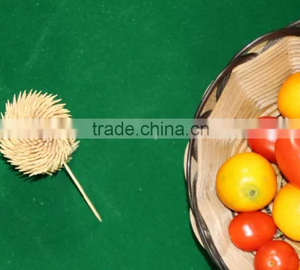 Reusable Toothpick Bamboo Toothpick