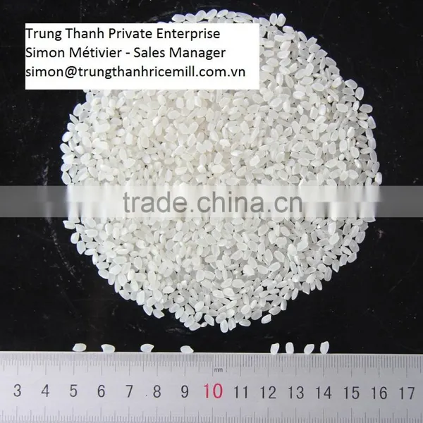 Vietnam Japonica Rice (Calrose Rice) photo-2