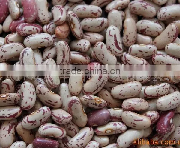 Light Speckled Kidney Beans