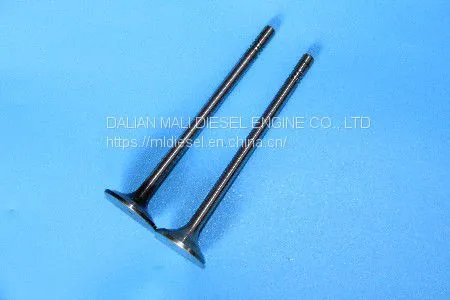 Deutz Exhaust Valve  04903006 04900686