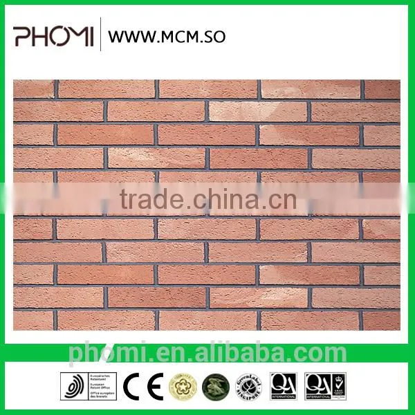 Cost Effective Multifunction Flexible Light Weight Thin Suitable for High-rises 240*60 Eco Brick photo-2
