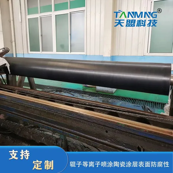 Ceramic Roller photo-2
