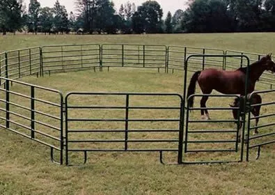 Cheap Galvanized Metal Corral Panel for Cattle Horses Easily Assembled Farm Driveway Fence Powder Coating High Trellis Iron photo-3