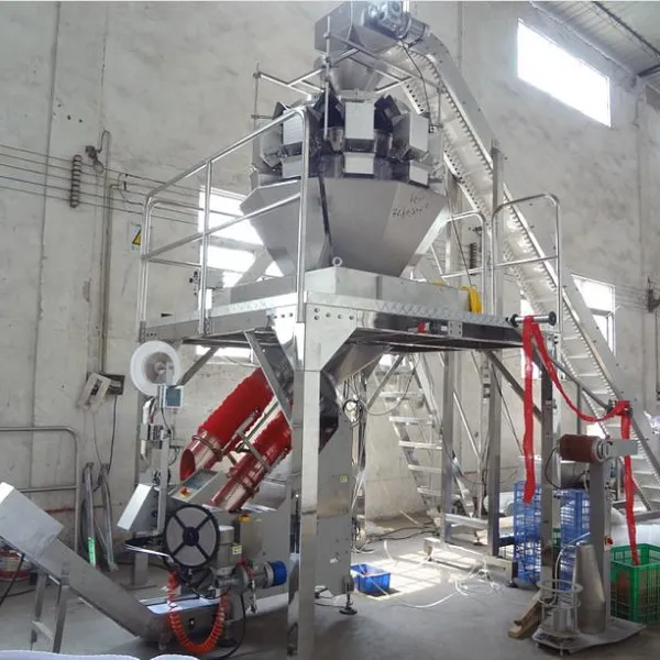China Professional Net Bag Packaging Machine Manufacturer for Packaging Vegetables and Fruits. photo-2