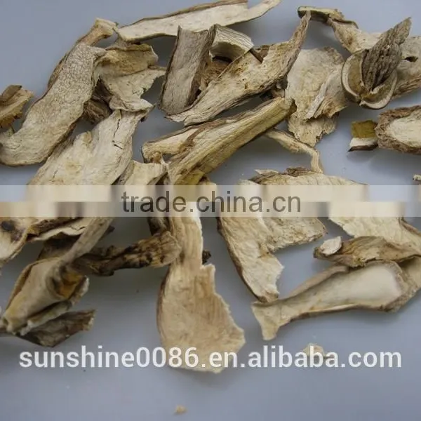 High Quality High Quality Dried Boletus Mushroom in Yunnan photo-5