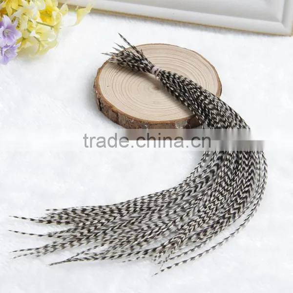 2015 New Arrival Factory Price Real Rooster Feather Hair Extensions Pure Color Feathershair Extension Quality Choice photo-6