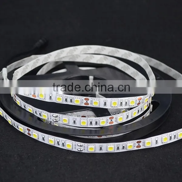 2016 Festalight Factory Price 5m/roll Ourdoor Christmas Swimming Pool Lights Smd 3528 Flxible Led Light Strip 5050 Blue ce Rohs photo-5
