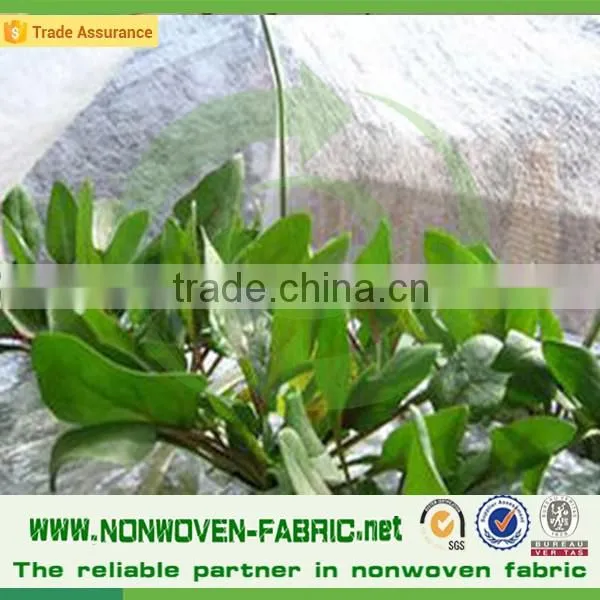 China Factory Suply 3%UV Anti-aging Spunbond Nonwoven Agricultural pp Weed Control Fabric photo-3