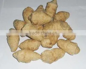 Fully Automatic SoybeanProtein Making Machine/Processing Line photo-6