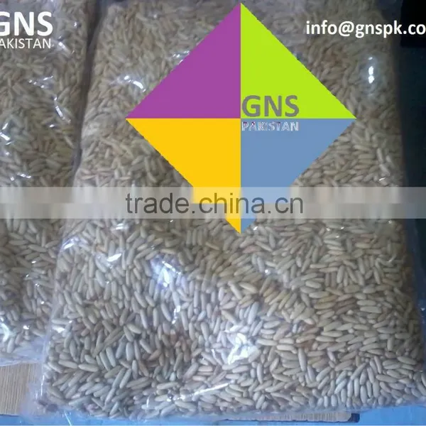 Fine Quality Pine Nuts Kernels - Pakistan Origin photo-4