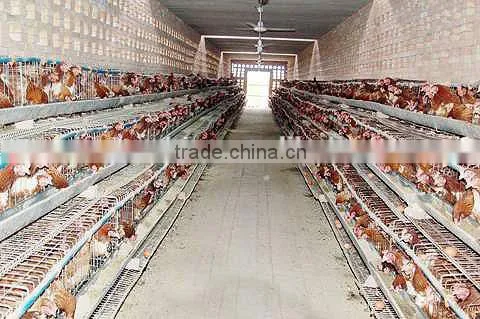 High Quality Galvanized Wire Mesh Layer Chicken Cage for Hens