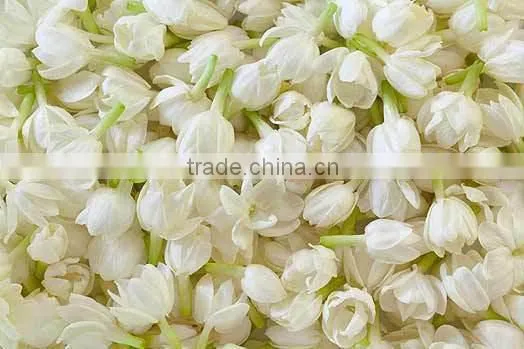 Jasmine Essential Oil 100% Natural |100% Pure Jasmine Oil | Ruh Chameli Oil photo-5