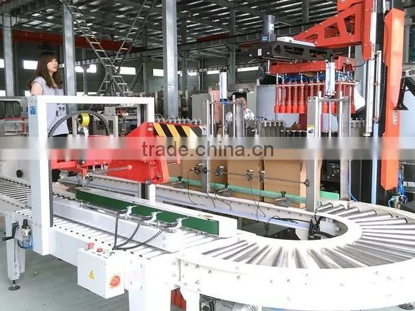 Case Packer/Case Packing Machine photo-2