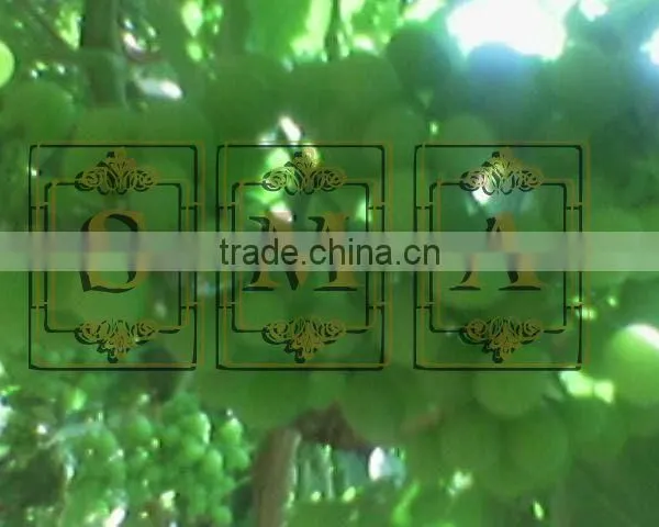 Flame Grapes photo-2