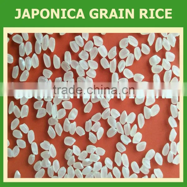 Japonica Round Rice Sales3 @ Vinarice.vn