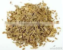 Dill Seeds From India