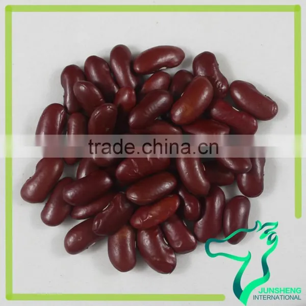Red Kidney Beans Dark Red Kidney Beans