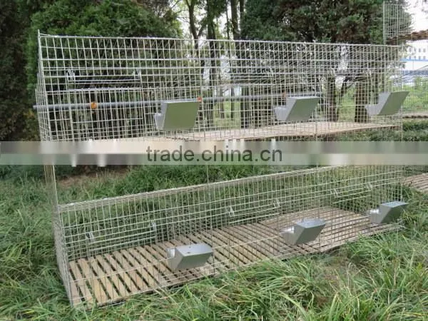 Rabbit Farming Cage/rabbit Breeding Cages/commercial Rabbit Cages