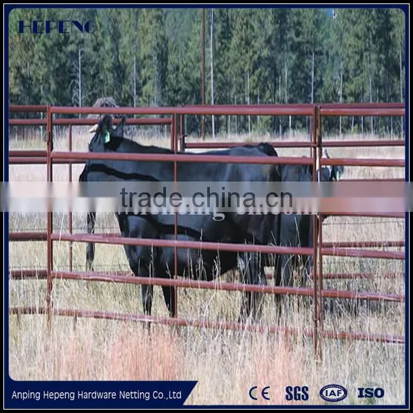 Hepeng 1.6*2.1m America Cheap Horse Fence, Cattle Fence Panel photo-6