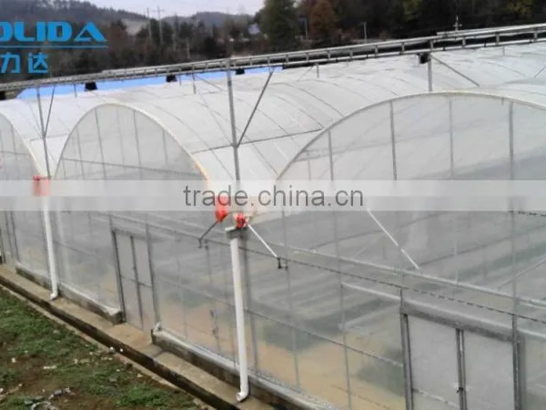 Large Plastic Film Greenhouse With Control System for Plant Growth photo-5