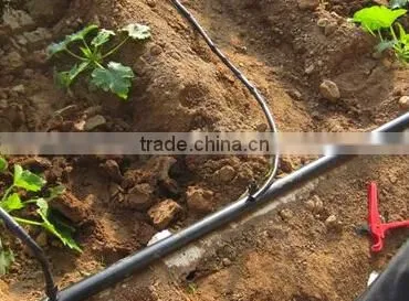 Ldpe Irrigation Pipes photo-2