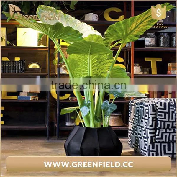 2017 Eco-friendly Gardening Planter Bag Grow Bag photo-5