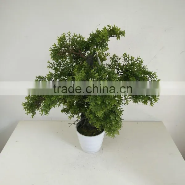 Mini Bonsai Sall Bonsai Artificial Tree Bonsai photo-4
