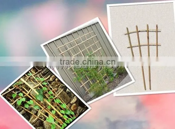 Manufacturer of Bamboo Cane Trellis Garden Bamboo Trellis for Planting photo-2