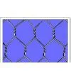 Hexagonal Wire Mesh