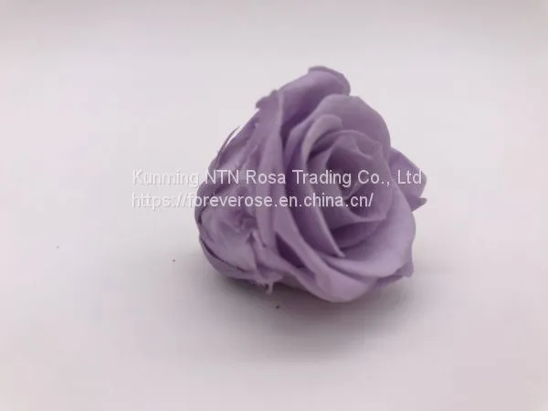 Wholesale3-4cm Elegant Real Touch Preserved Rose Flower photo-3