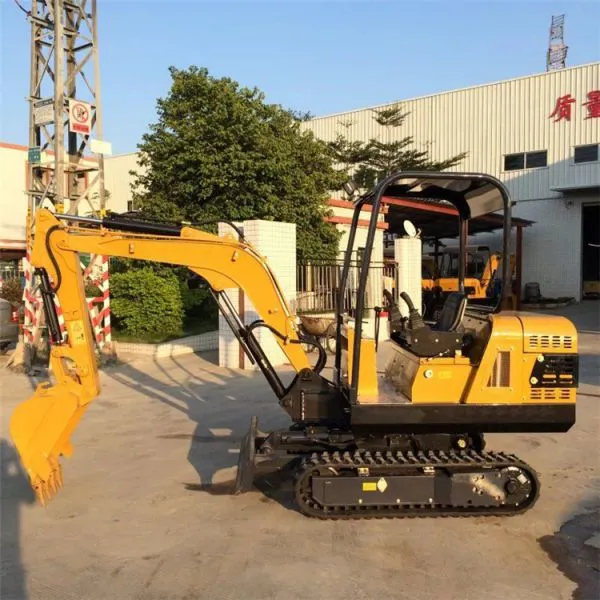 Small Diesel Engine 1 Ton Digger photo-2
