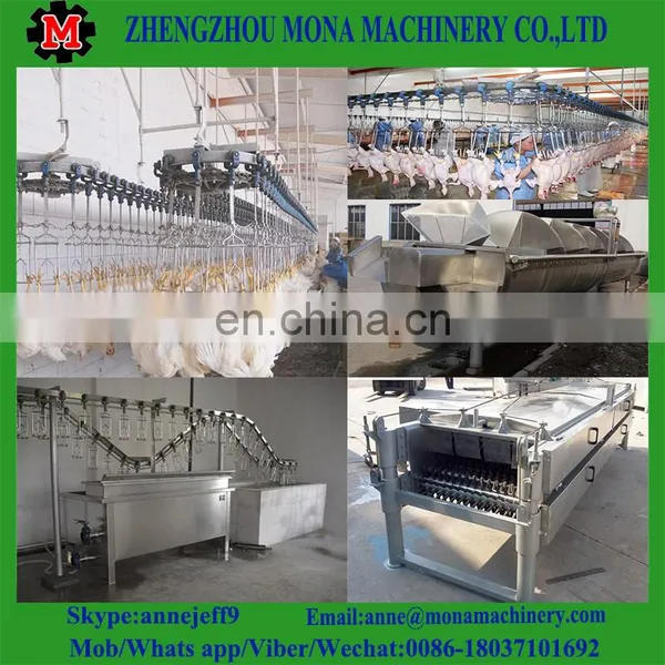 Halal Chicken Slaughter Machine Line/Poultry Slaughter Machine photo-4